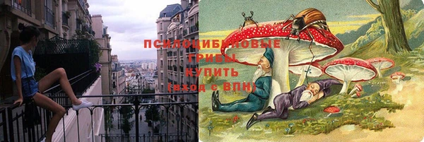 прущий лед Алексин