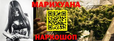 сатива Краснодар