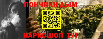 сатива Краснодар