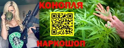 сатива Краснодар