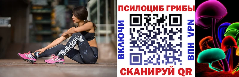 Псилоцибиновые грибы GOLDEN TEACHER  Клинцы 