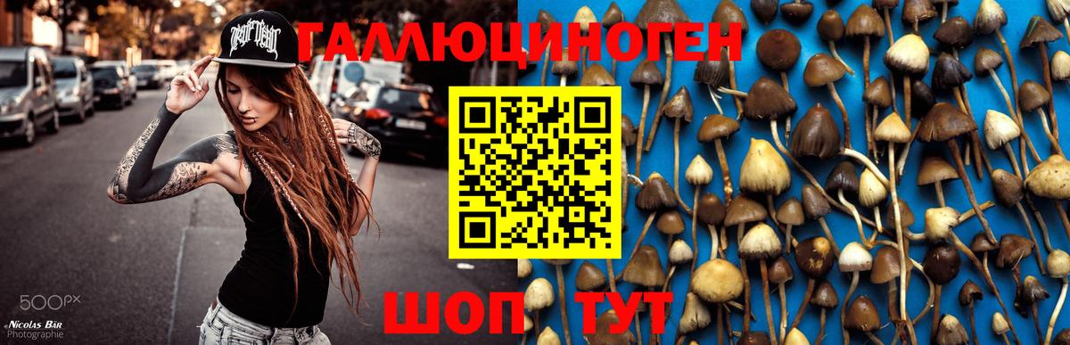 Клинцы  Галлюциногенные грибы MAGIC MUSHROOMS  Галлюциногенные грибы мицелий  Вход с VPN 